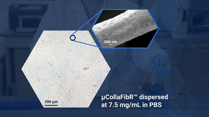 μCollaFibR™ Additive for Bioinks and Hydrogels